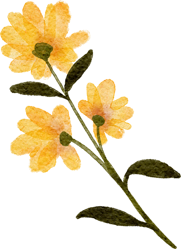 organic wildflower