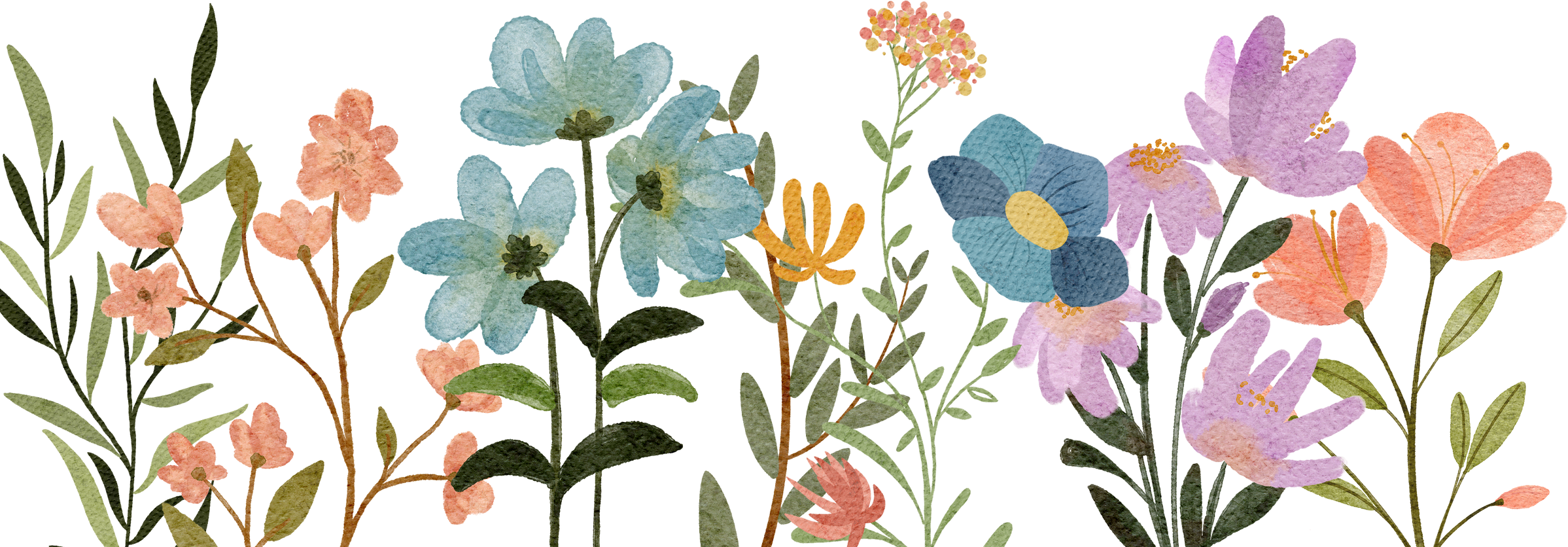 wildflowers