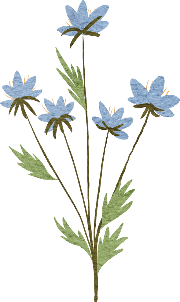 wildflowers clipart